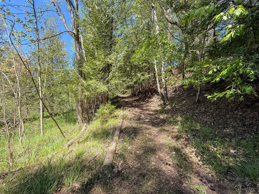 1583 N Dennis Road Amber Township MI 49431