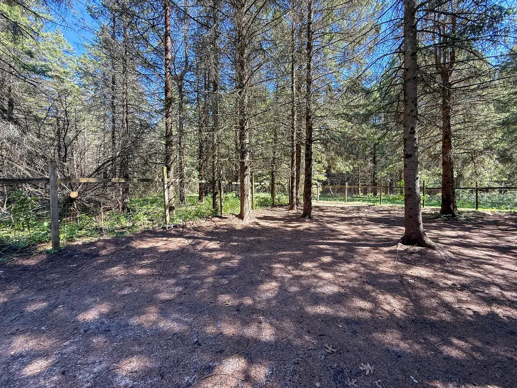 1583 N Dennis Road Amber Township MI 49431