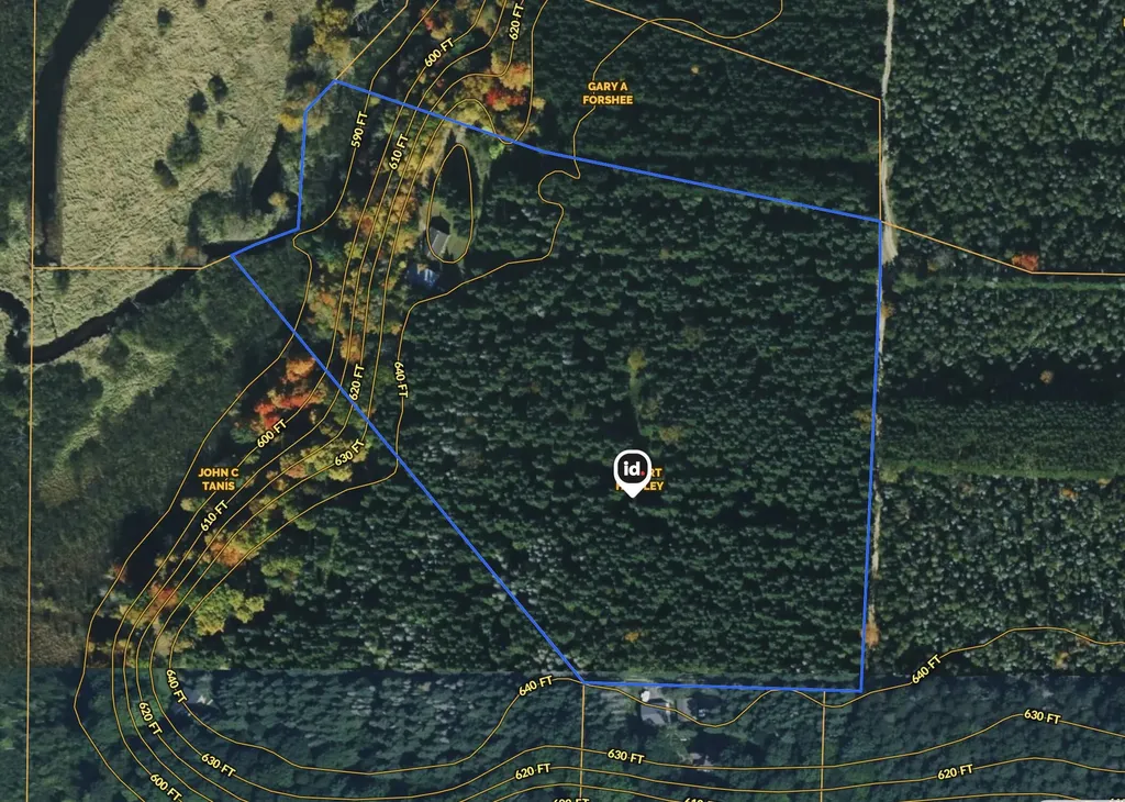 1583 N Dennis Road Amber Township MI 49431
