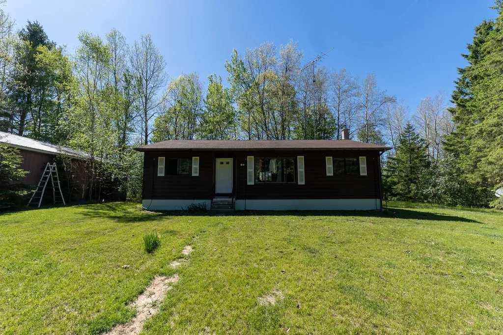 1583 N Dennis Road Amber Township MI 49431