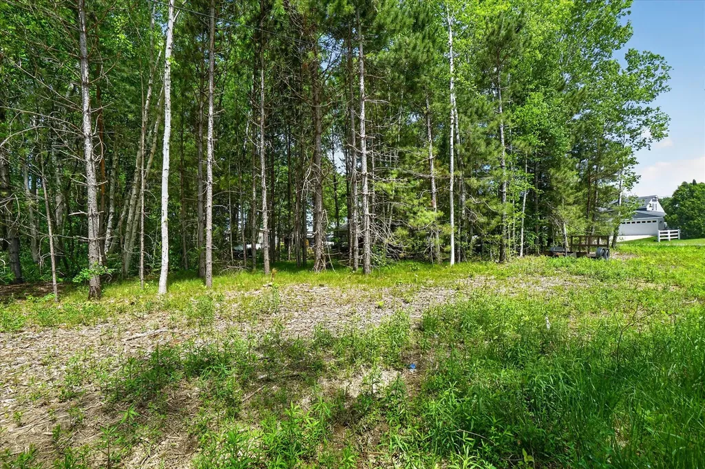 8653 Cochise Drive Winfield Township MI 49329