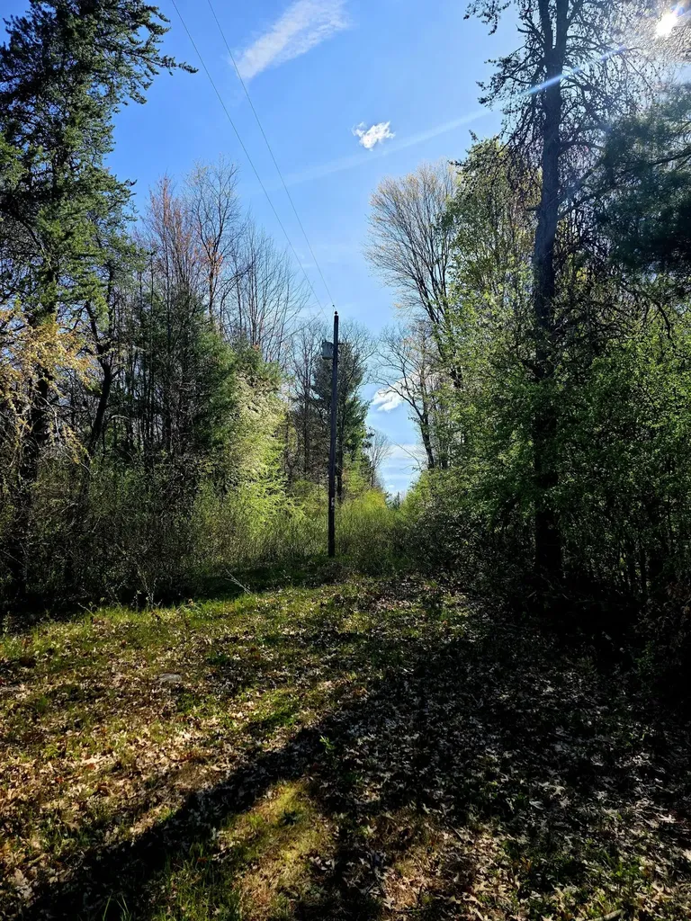 2787 E Baseline Road Everett Township MI 49349