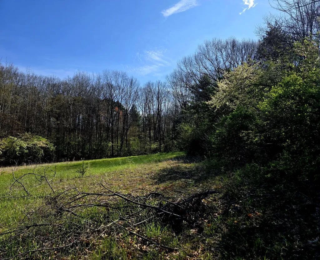 2787 E Baseline Road Everett Township MI 49349