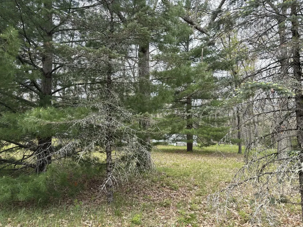 3217 W Maringo Pass Webber Township MI 49304