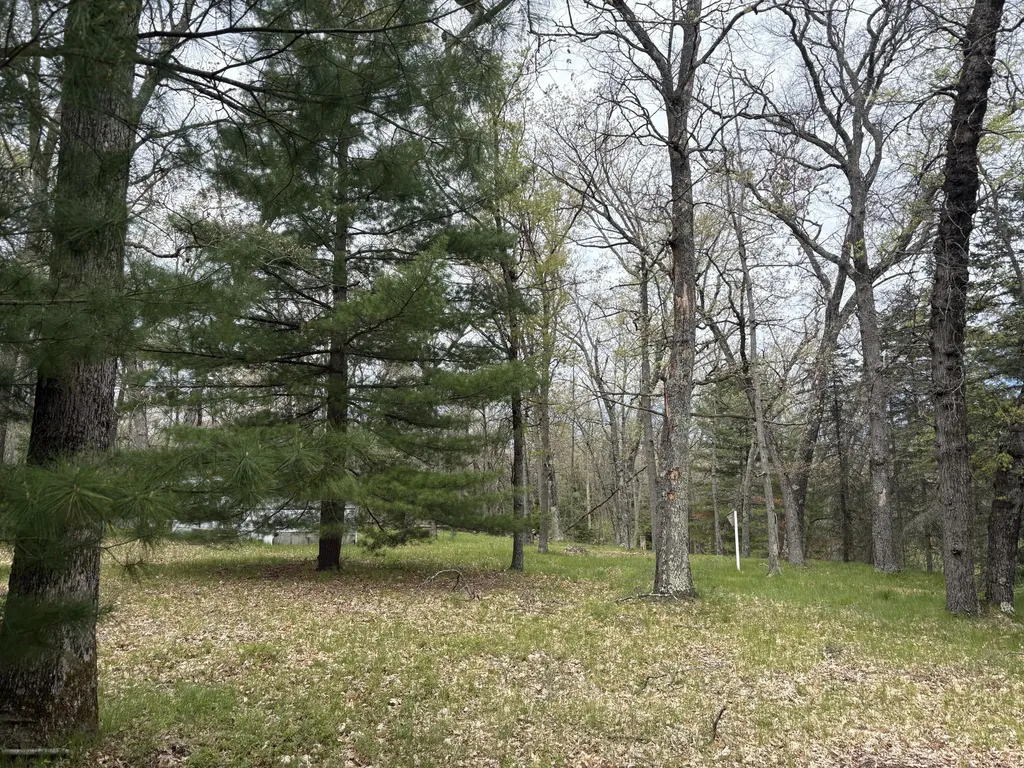 3217 W Maringo Pass Webber Township MI 49304