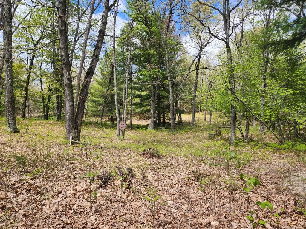 7296 E 40th Street Pinora Township MI 49623