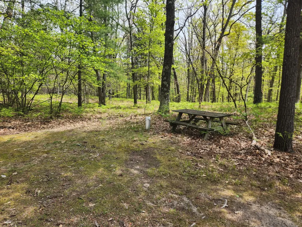 7296 E 40th Street Pinora Township MI 49623