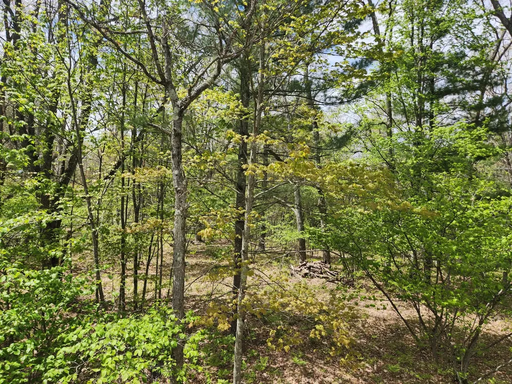 7296 E 40th Street Pinora Township MI 49623