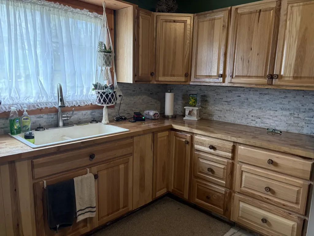 8774 S Star Lake Drive Lake Township MI 49304