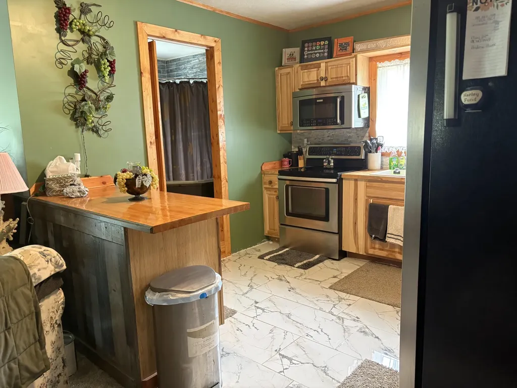 8774 S Star Lake Drive Lake Township MI 49304