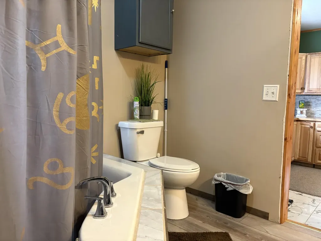 8774 S Star Lake Drive Lake Township MI 49304