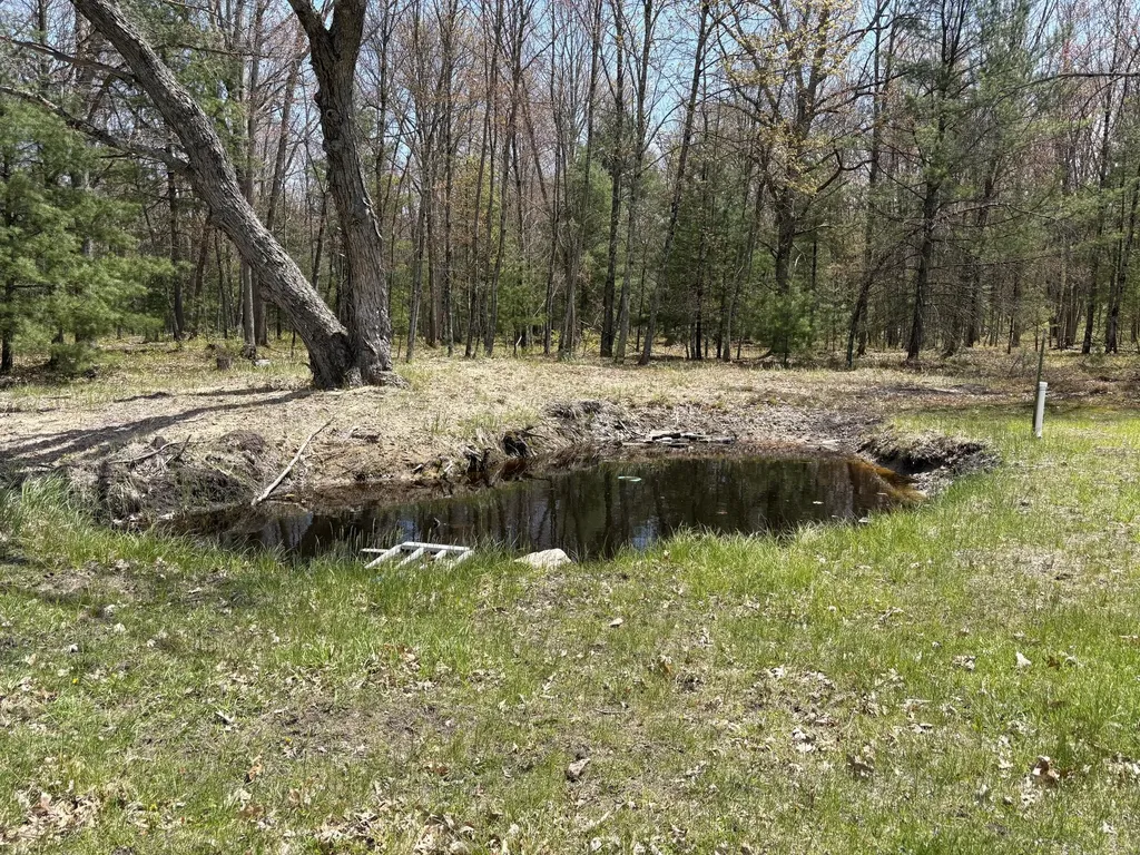 8774 S Star Lake Drive Lake Township MI 49304