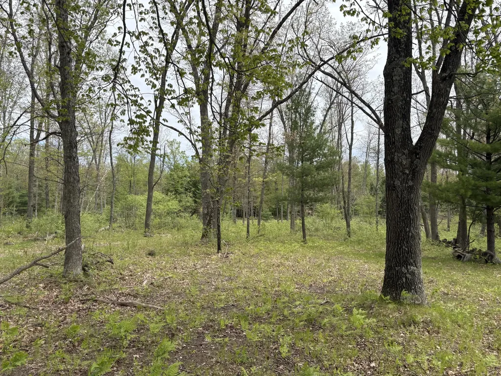 8774 S Star Lake Drive Lake Township MI 49304