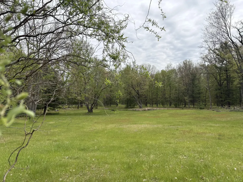 8774 S Star Lake Drive Lake Township MI 49304