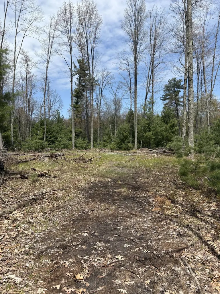 8774 S Star Lake Drive Lake Township MI 49304