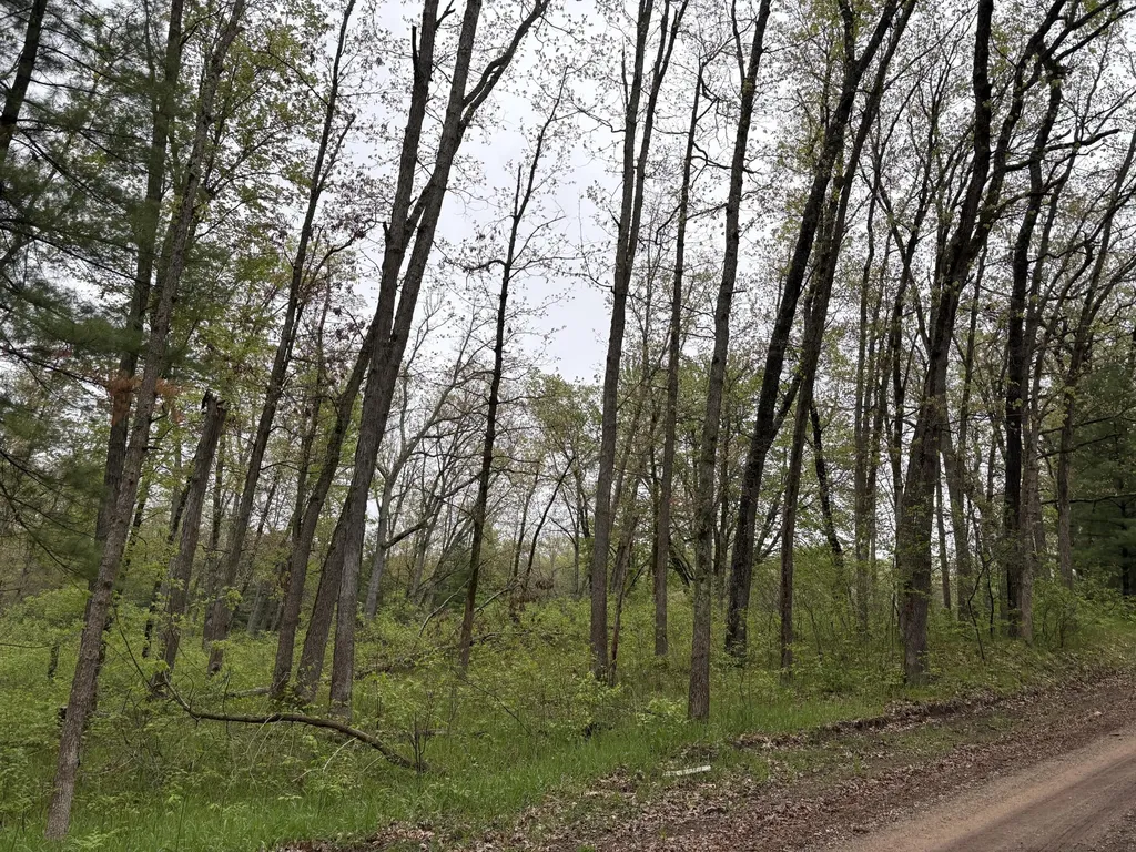 8774 S Star Lake Drive Lake Township MI 49304
