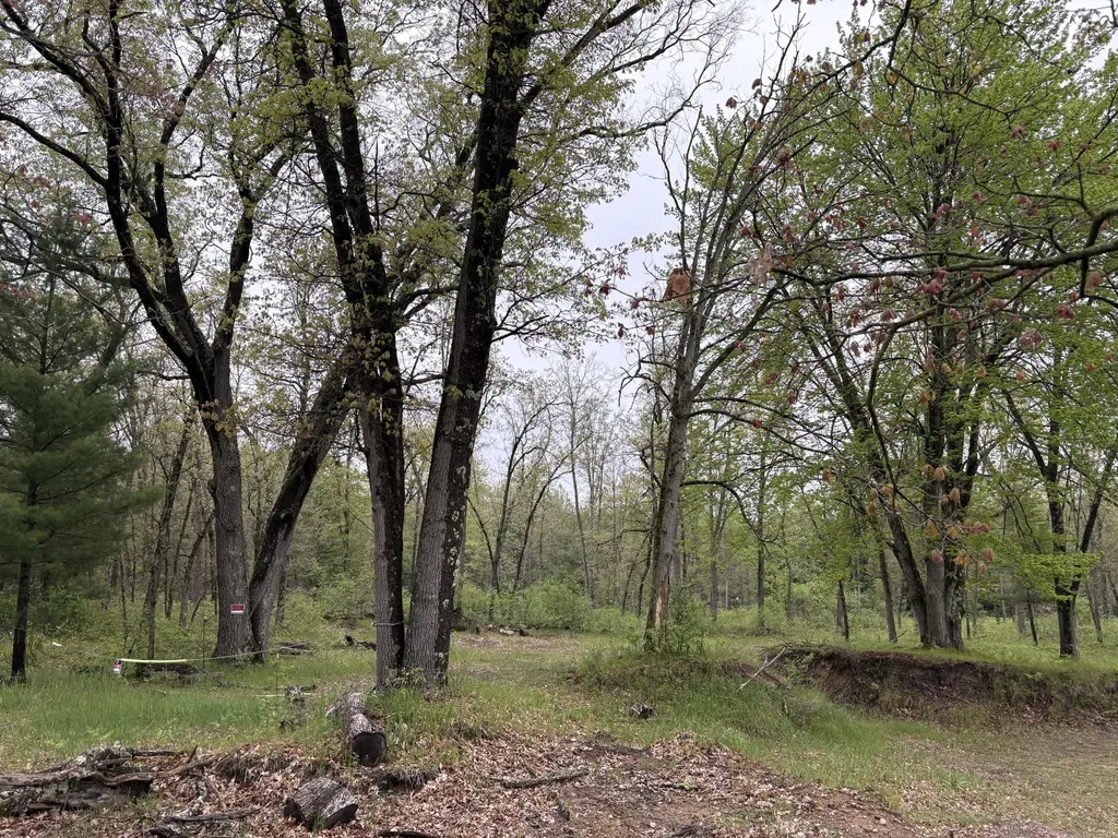 8774 S Star Lake Drive Lake Township MI 49304