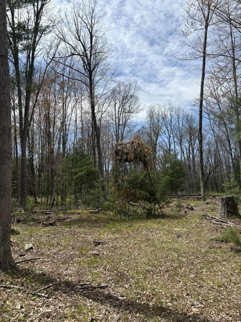 8774 S Star Lake Drive Lake Township MI 49304