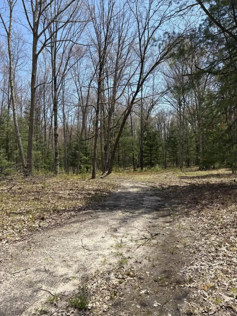 8774 S Star Lake Drive Lake Township MI 49304