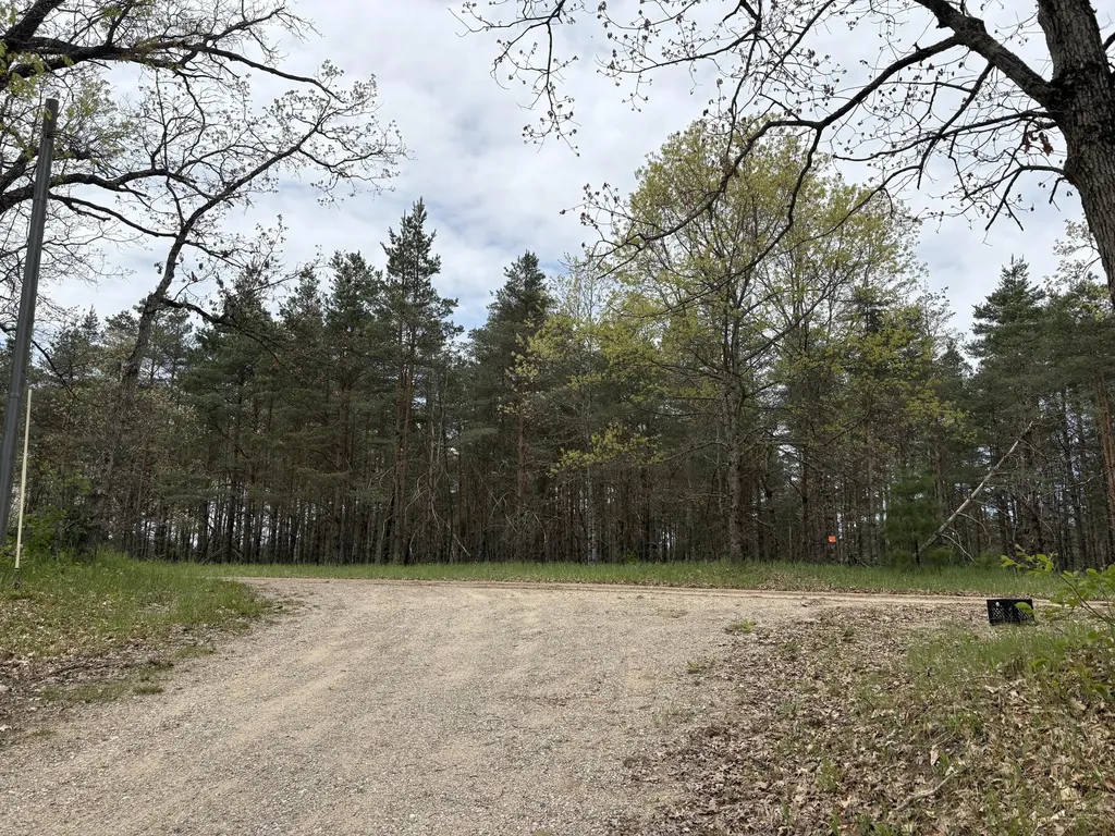 8774 S Star Lake Drive Lake Township MI 49304