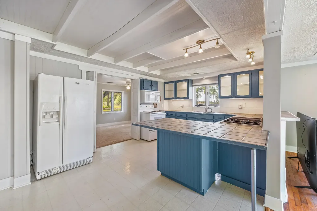 19454 E Chippewa Lake Drive Chippewa Township MI 49320