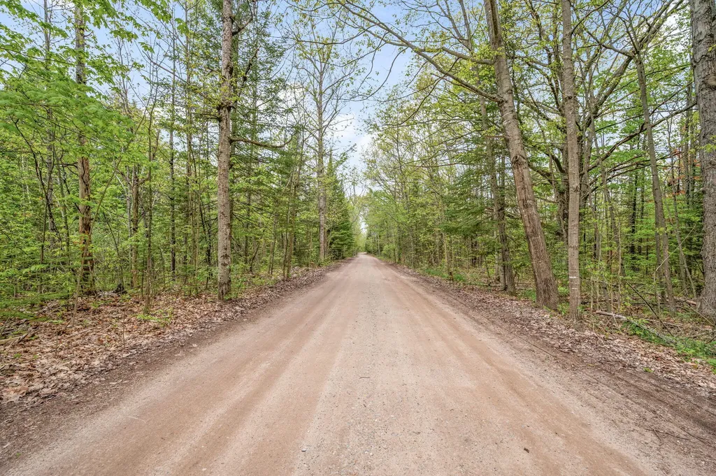 3251 Timberlane Drive Sylvan Township MI 49631
