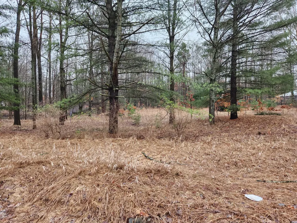 8033 Rolling Drive Garfield Township MI 48632