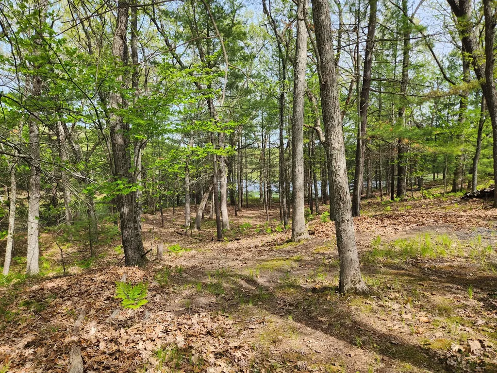 9736 S Trillium Trail Lake Township MI 49304
