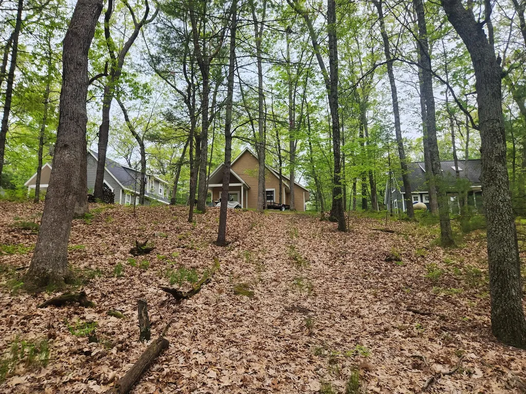 9736 S Trillium Trail Lake Township MI 49304