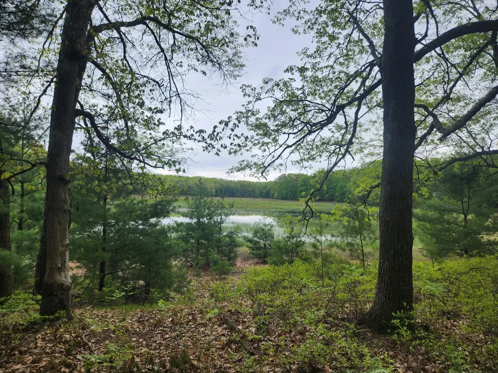 9736 S Trillium Trail Lake Township MI 49304