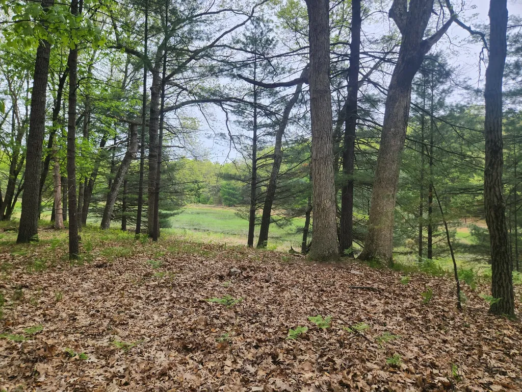 9736 S Trillium Trail Lake Township MI 49304