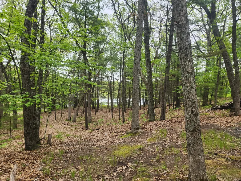 9736 S Trillium Trail Lake Township MI 49304