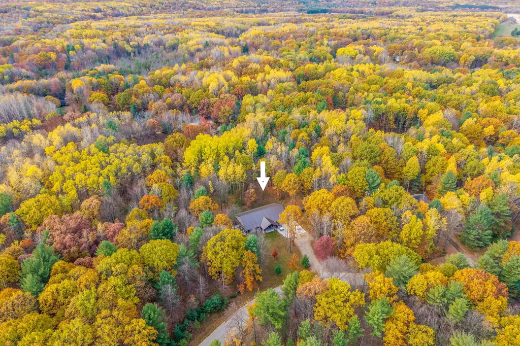 3159 Hilltop Lane Union Charter Township MI 48858