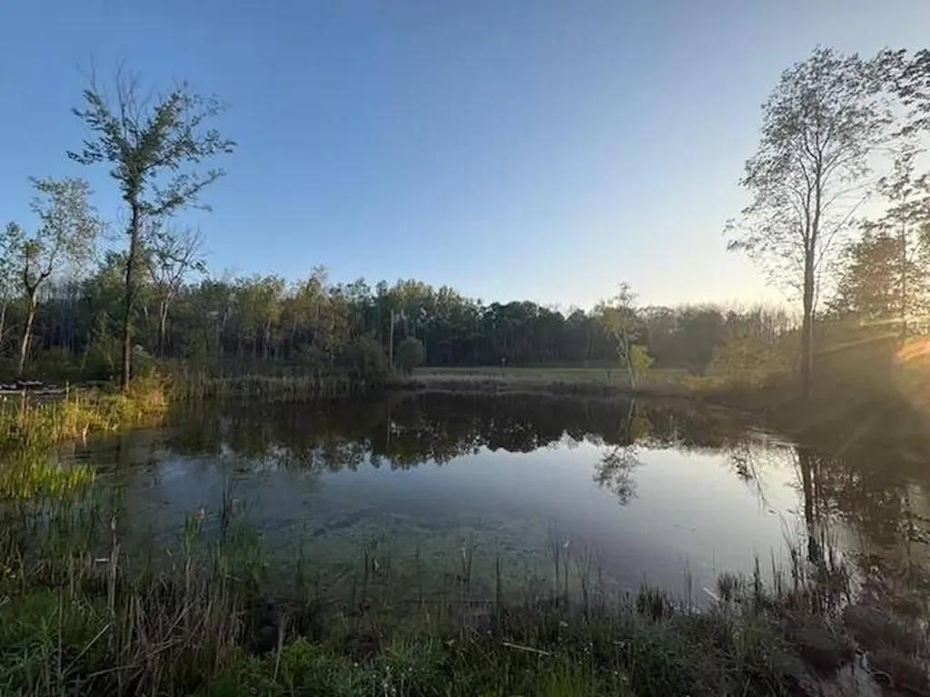3775 16 Mile Middle Branch Township MI 49665