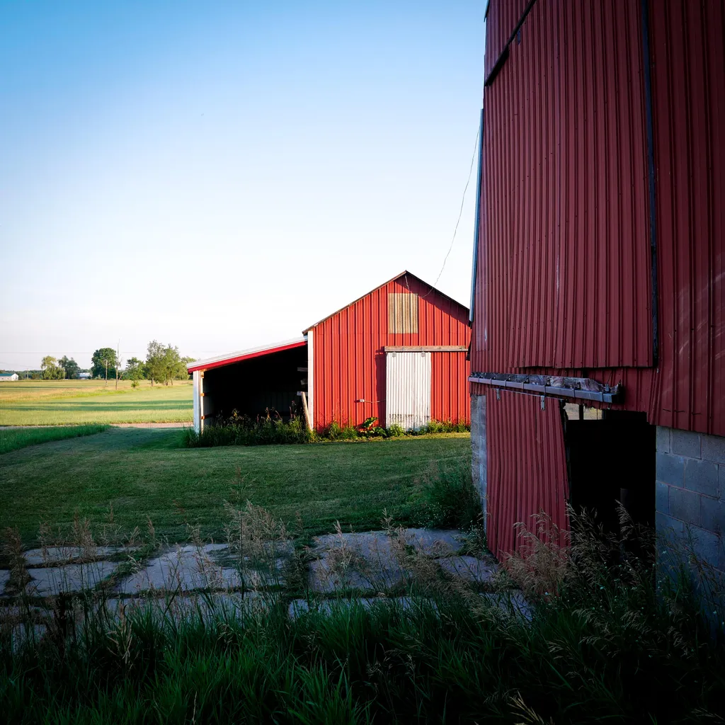 11758 Monroe Road Hinton Township MI 49336