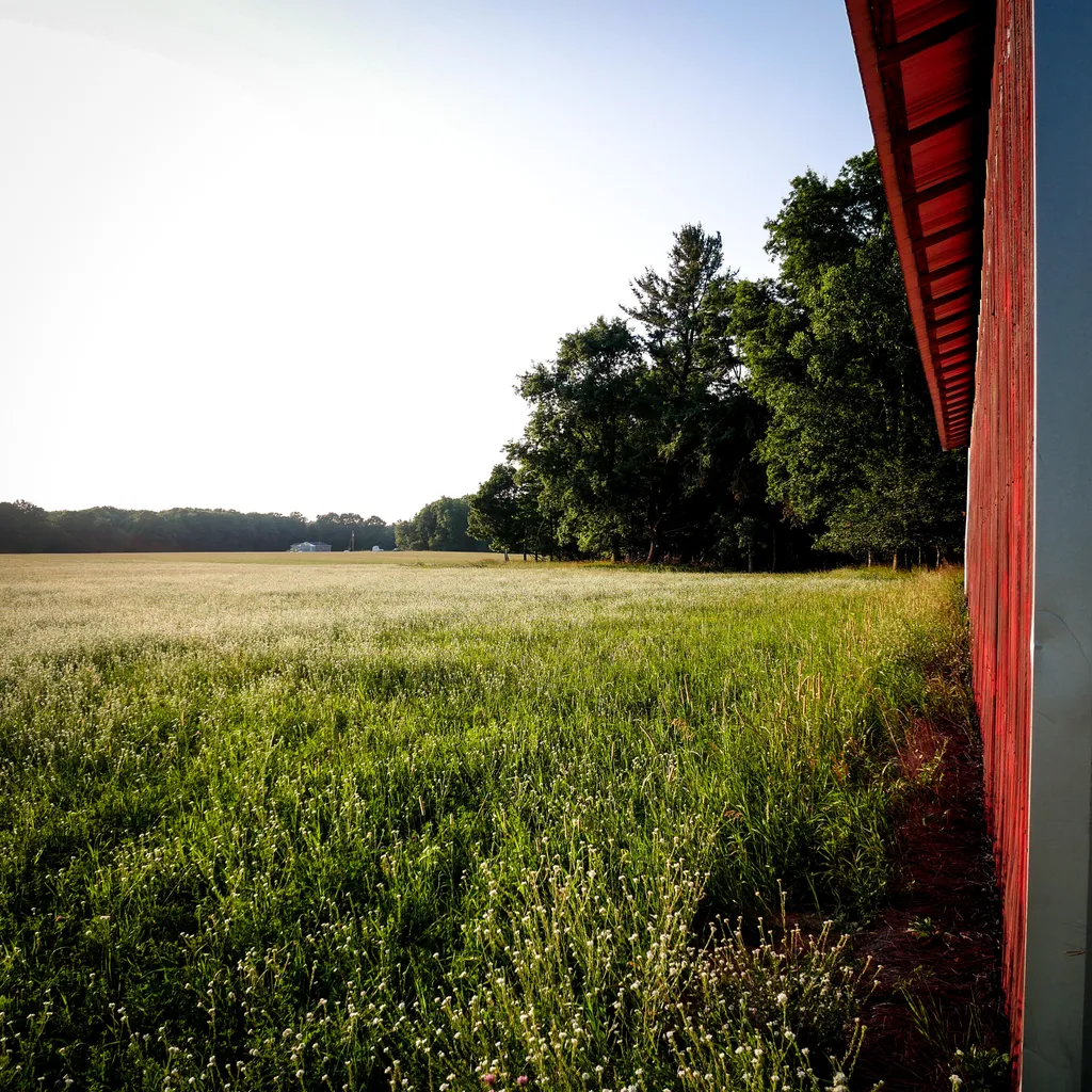 11758 Monroe Road Hinton Township MI 49336