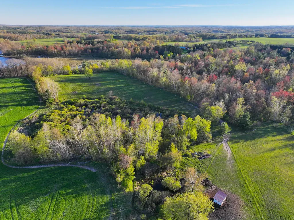 17463 15 Mile Road Rose Lake Township MI 49655