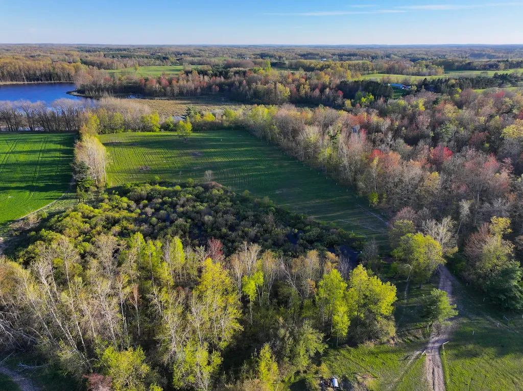 17463 15 Mile Road Rose Lake Township MI 49655