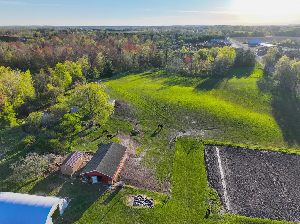 17463 15 Mile Road Rose Lake Township MI 49655