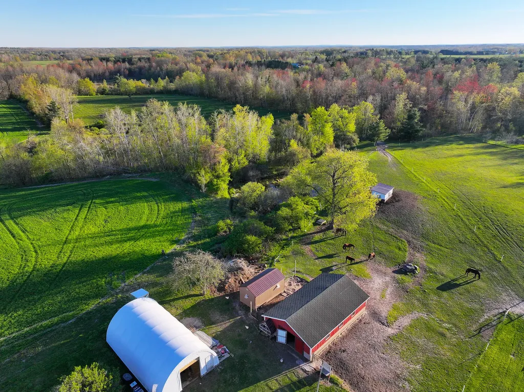 17463 15 Mile Road Rose Lake Township MI 49655