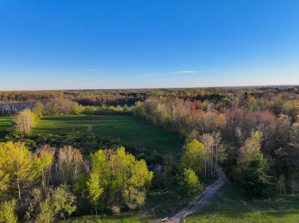 17463 15 Mile Road Rose Lake Township MI 49655