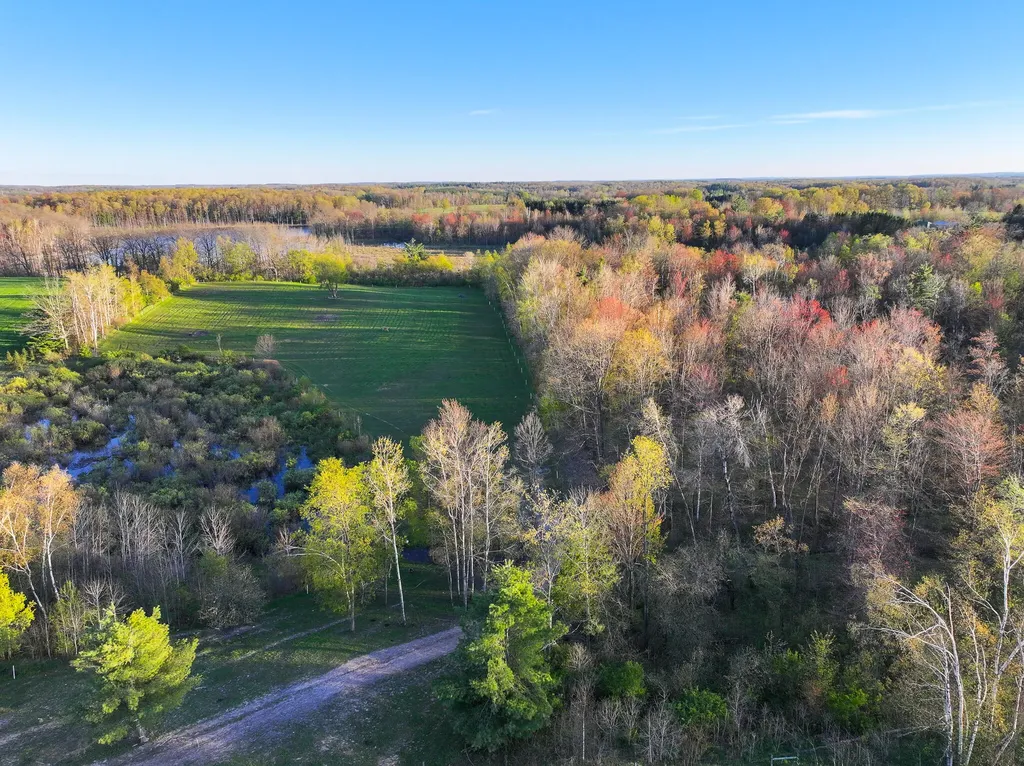 17463 15 Mile Road Rose Lake Township MI 49655