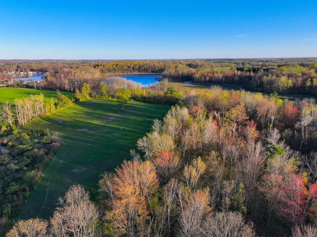 17463 15 Mile Road Rose Lake Township MI 49655