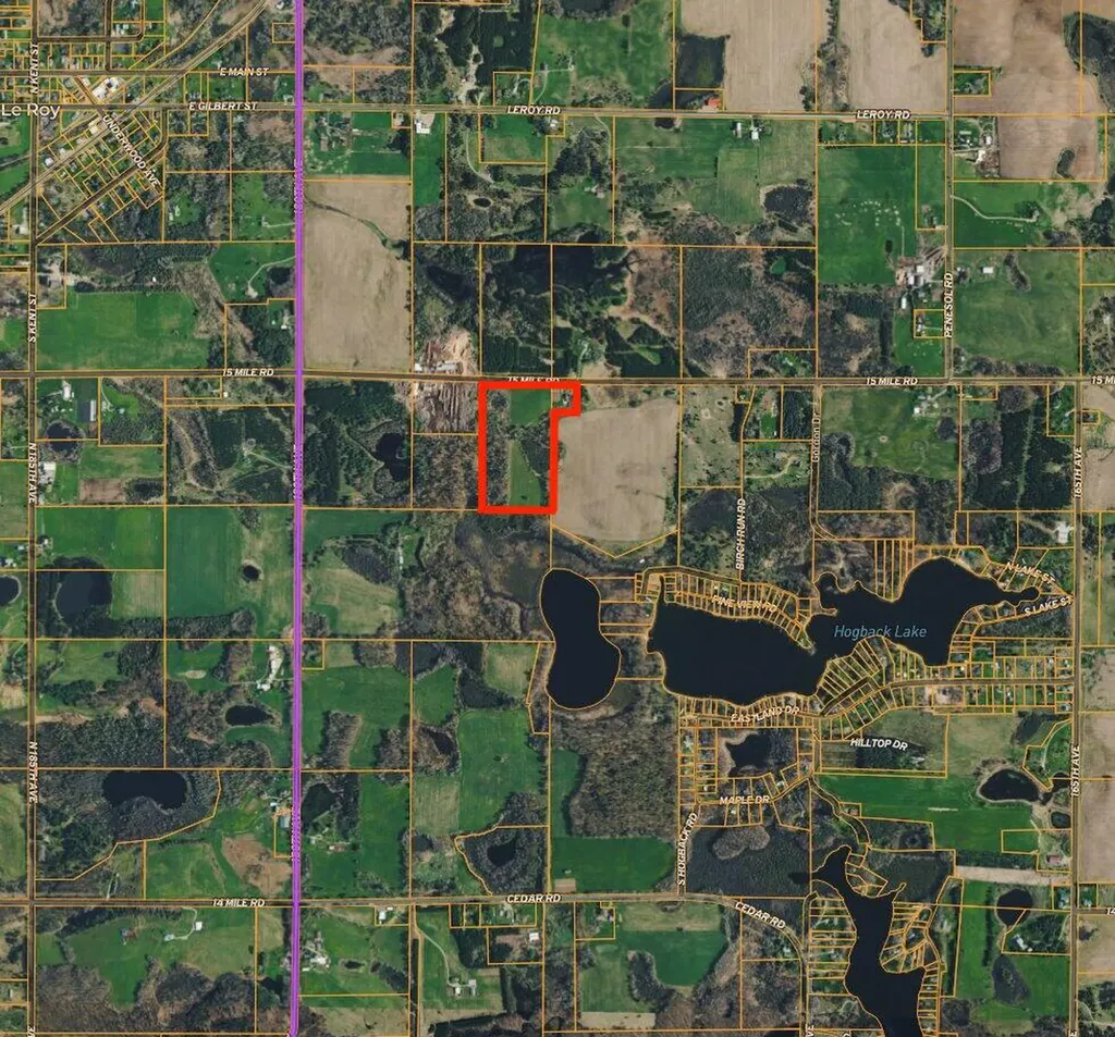17463 15 Mile Road Rose Lake Township MI 49655