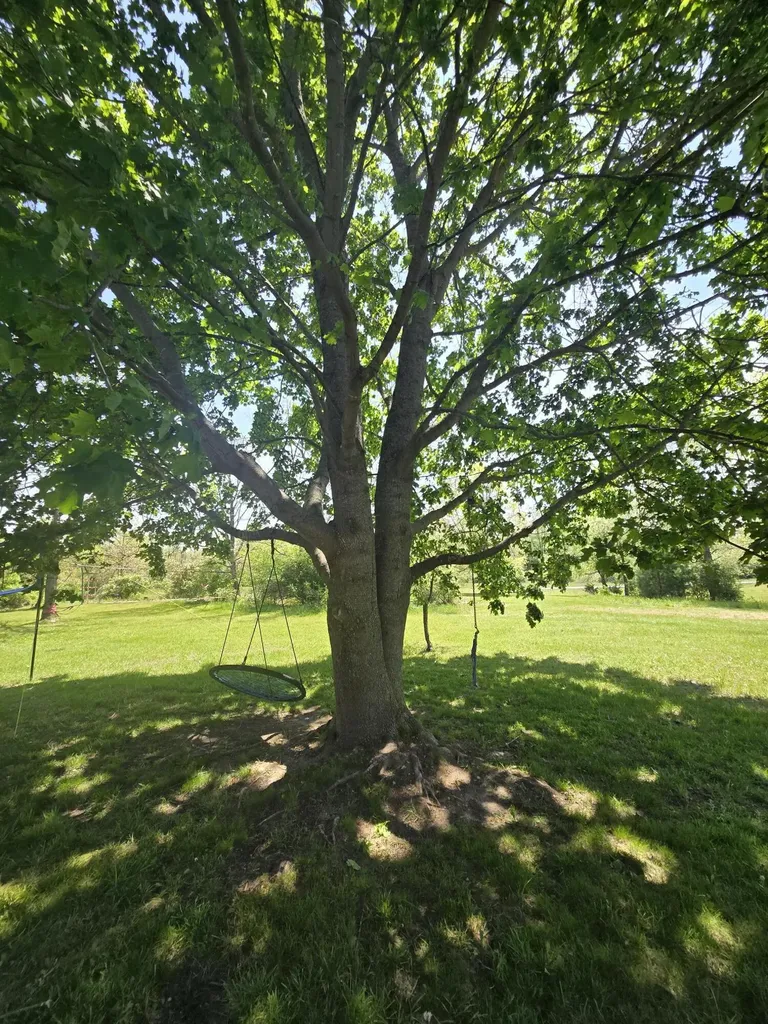 12495 5 Mile Road Hersey Township MI 49631