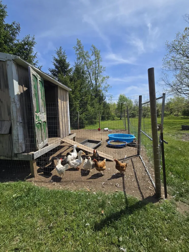 12495 5 Mile Road Hersey Township MI 49631