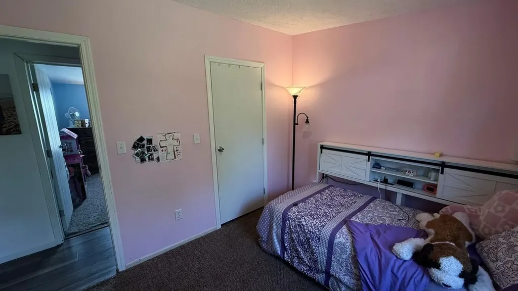 17086 Pierce Road Austin Township MI 49346