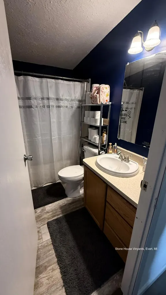 17086 Pierce Road Austin Township MI 49346