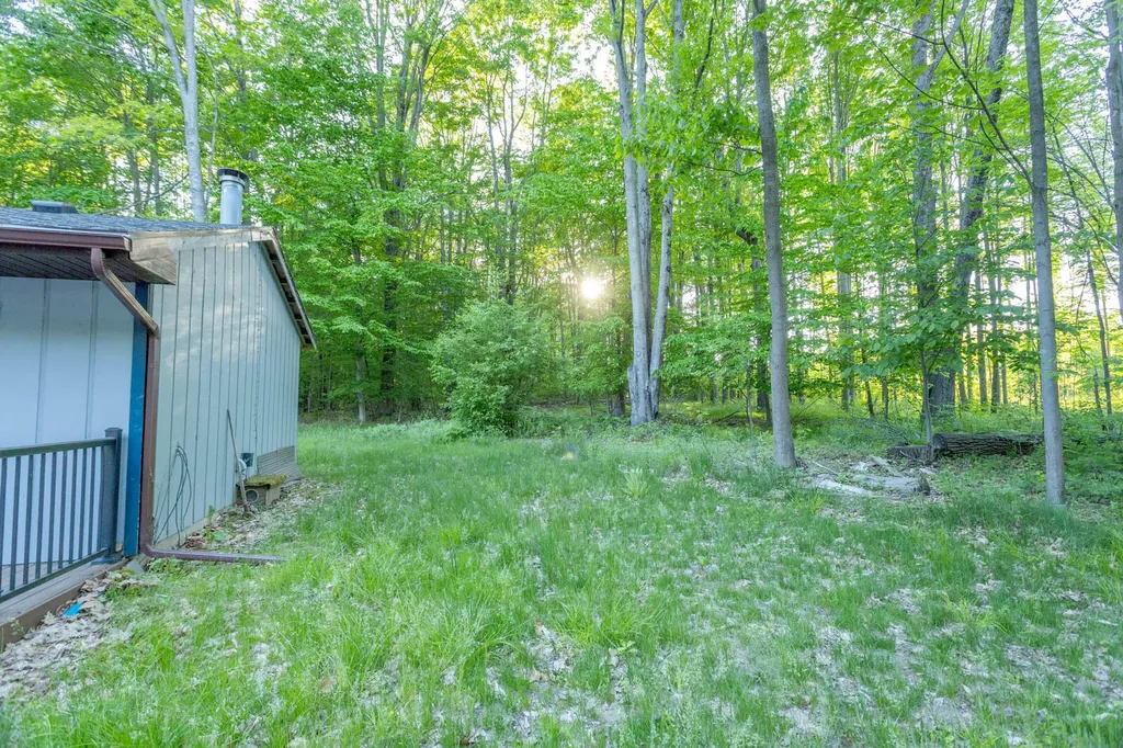 14351 95th Avenue Martiny Township MI 49342