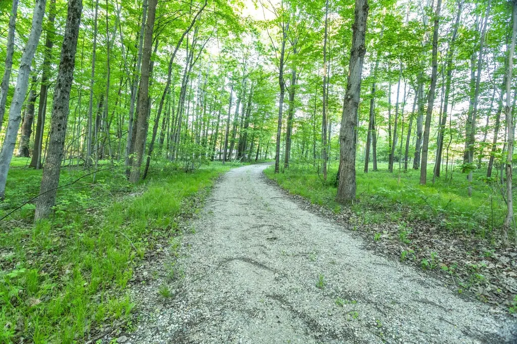 14351 95th Avenue Martiny Township MI 49342